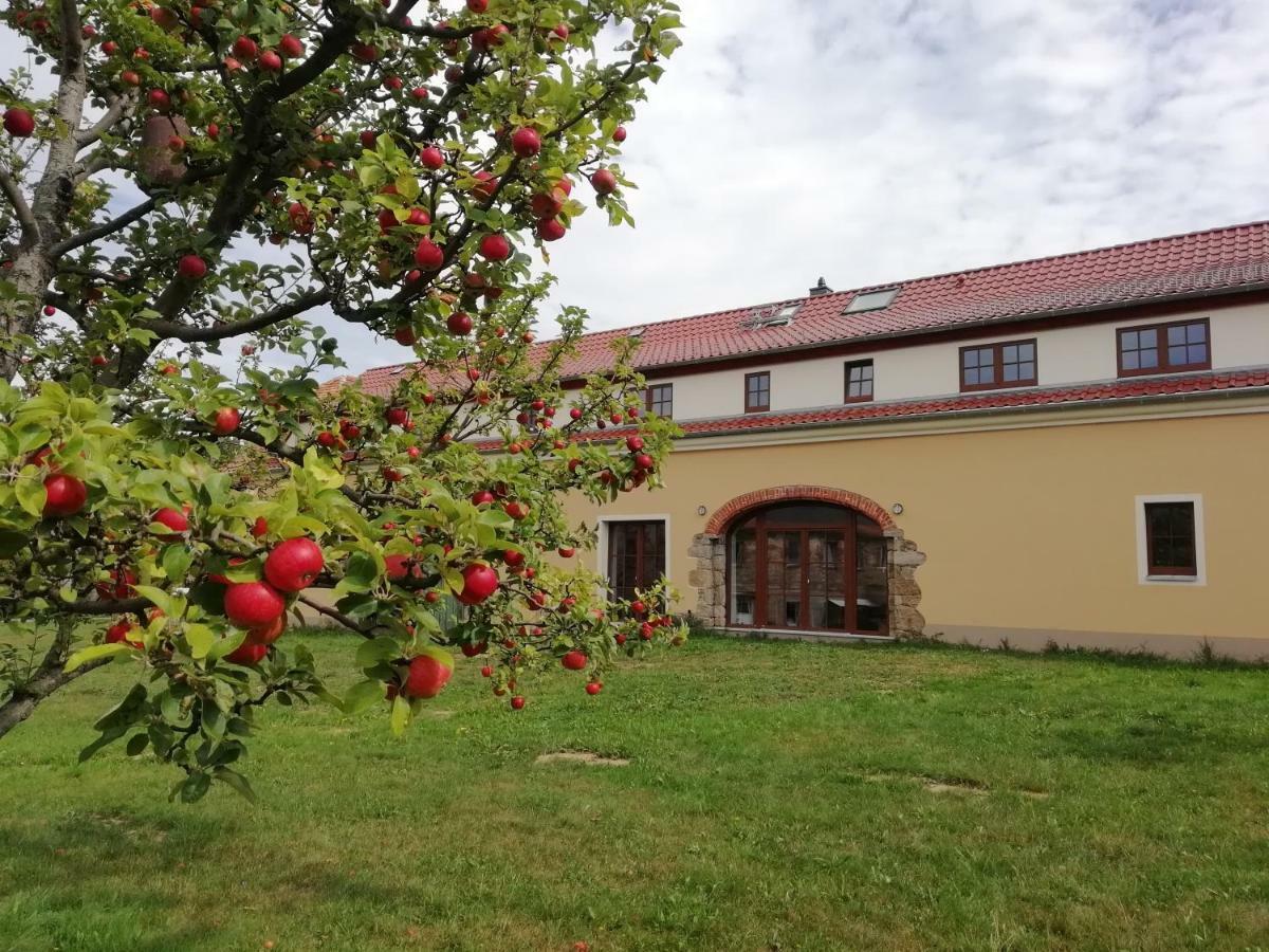 Ferienhof-Kuehn Hochkirch Exterior foto